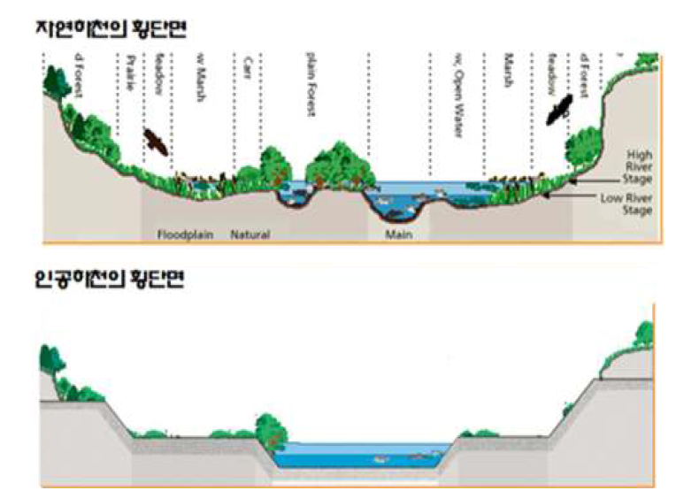 자연하천과 인공하천의 비교