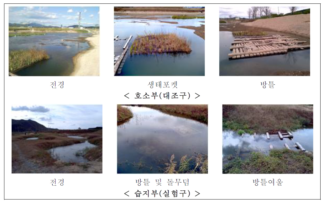 호소부 및 습지부의 전경 및 인공서식처 설치 현황