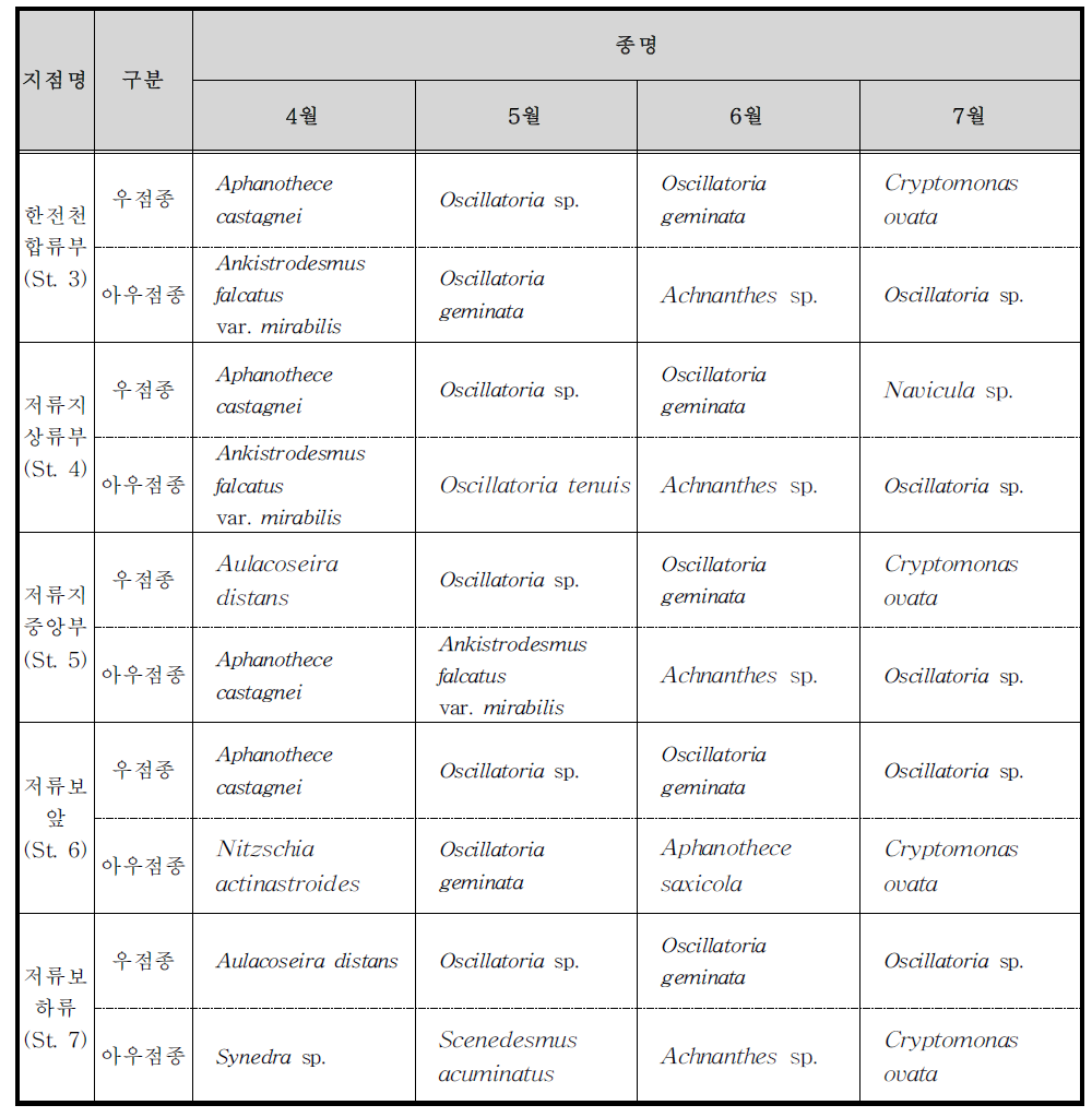 4월～7월의 지점별 식물플랑크톤의 우점종(세포수)