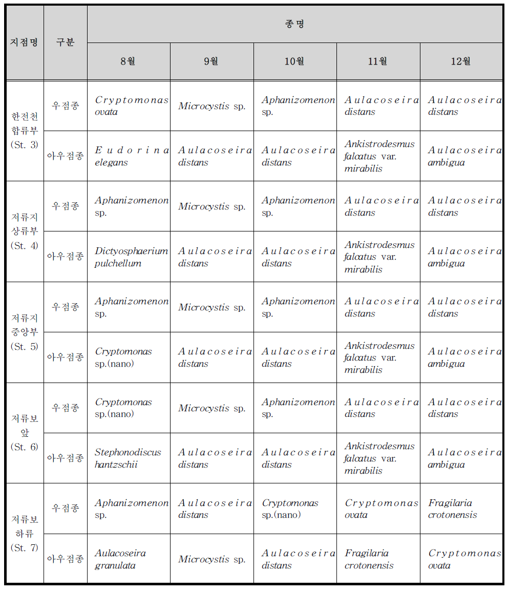 8～12월의 지점별 식물플랑크톤 우점종(세포수)