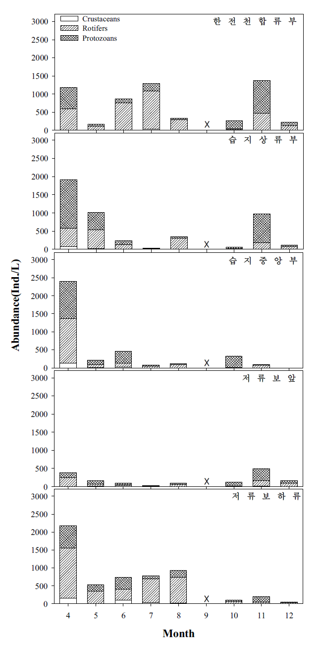 지점별 동물플랑크톤 개체수