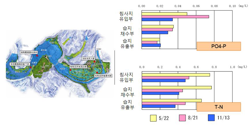 국외 사례(습지의 수질정화 효과)