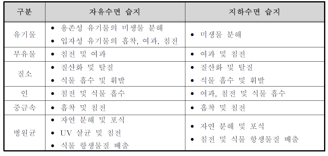 습지 내 오염물질 제거 기작