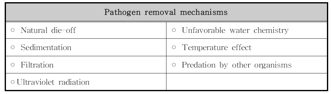 습지에서의 병원균 제거 기작