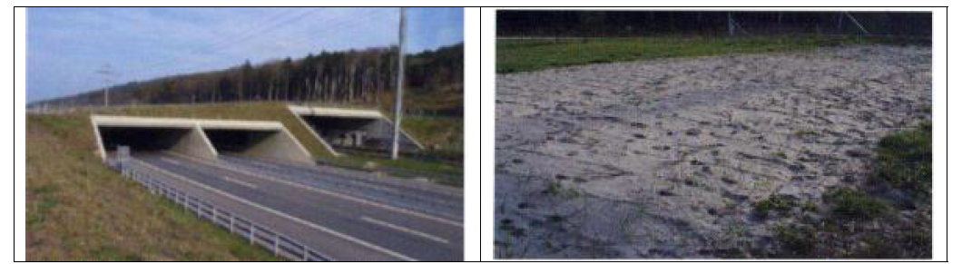 고속도로 및 철도구간에 설치된 육교형 생태이동통로와 모니터링용 모래족적판 (스위스 고속도로 A5 Meinisberg 인근)