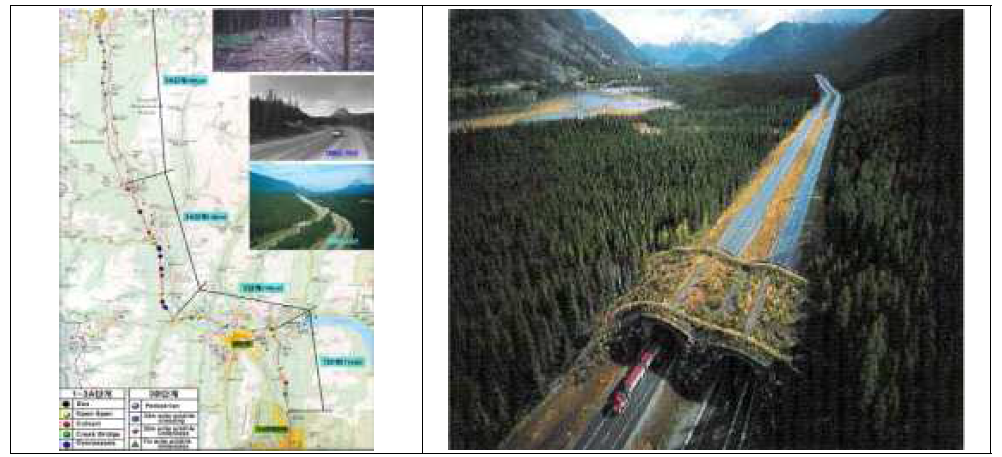 캐나다 밴프 지역의 야생동물 교통사고 저감을 위한 단계별위치도(좌) 및 밴프국립공원의 관통하는 도로를 연결하는 에코브리지(우)