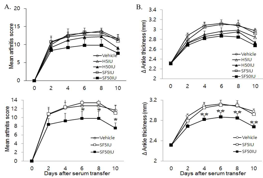 K/BxN 혈청으로 관절염이 유도된 mice에 대한 관절염 지수로 평가한 SF-CT 의 효과(A) 및 관절염 유도된 mice의 발목 두께로 평가한 SF-CT의 효과(B).
