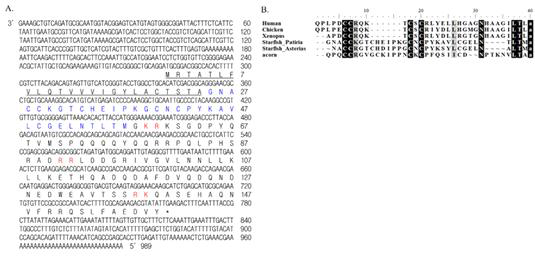 PpTNP의 cDNA 서열(a)와 다른 종들간의 유사도(B)