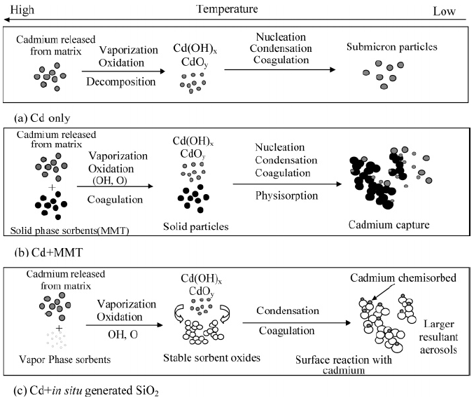 반응기 내에서 카드뮴(Cd)의 반응 경로