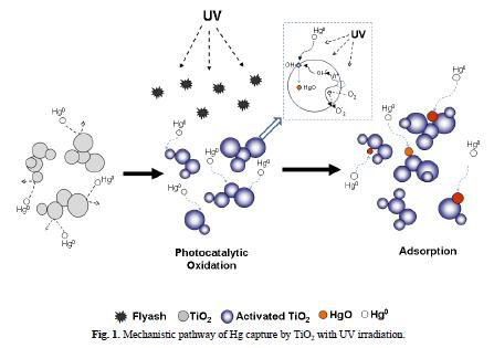 UV+TiO2에 의한 수은의 반응경로 연구사례