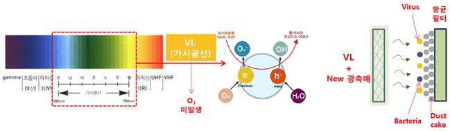 가시광선 및 광촉매를 이용한 이용한 미생물성 오염물질 제거제거 메카니즘