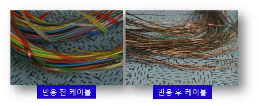 50kg급 대형 close 시스템 결과물