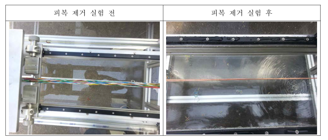 피복 제거 실험 전/후