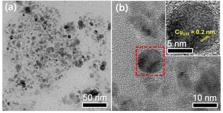 합성된 구리 나노분말의 TEM 이미지
