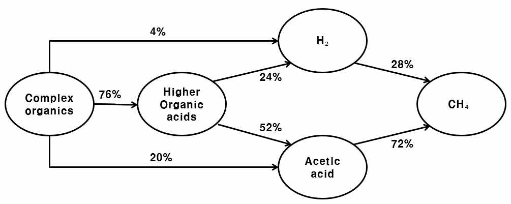 혐기성 소화공정에서 탄소와 수소 흐름