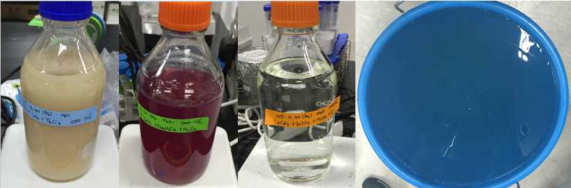 Synthetic Wastewater 제조를 위한 stocksolution 및 SyntheticWastewater 제조 후 모습