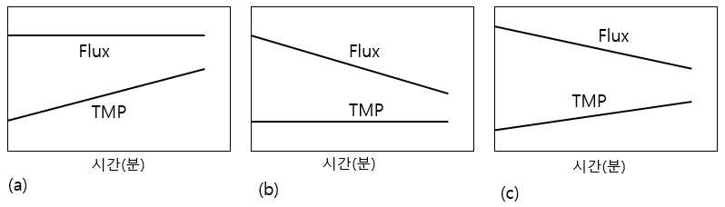 세가지의 막 운전 모드 ⒜일정플럭스, ⒝일정압력, ⒞가변플럭 스와 압력