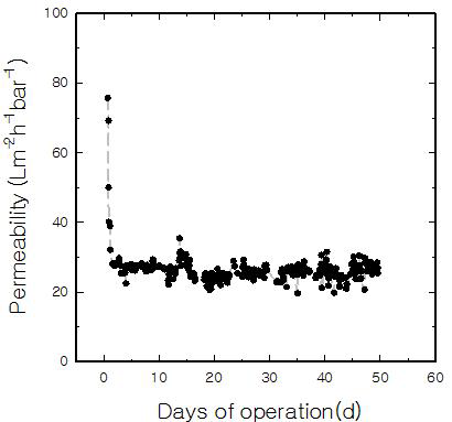 혐기성 세라믹MBR Permeability 측정결과