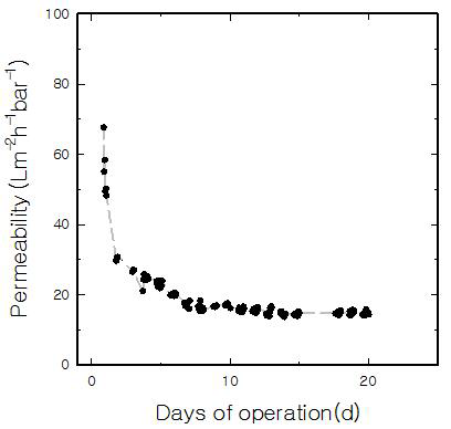 혐기성 고분자MBR Permeability 측정결과