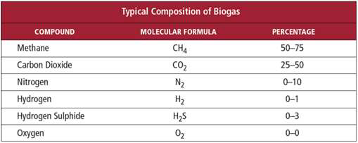 Typical composition of biogas