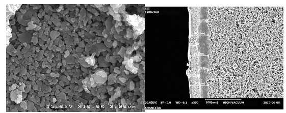 알루미나 세라믹 분리막 SEM 사진