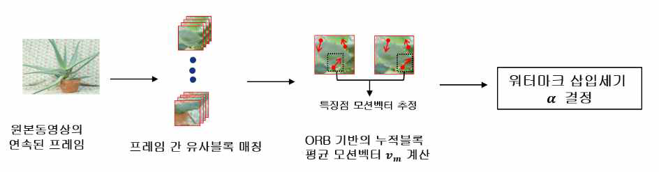 모션벡터 추출 및 워터마크 삽입세기 계산 과정