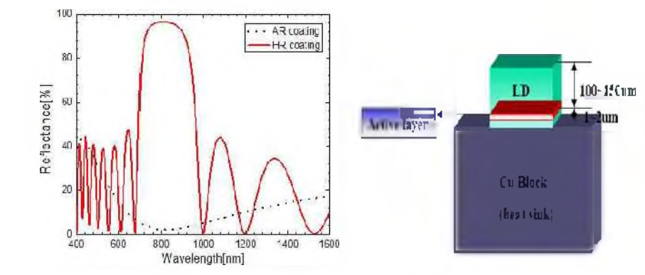 단면 AR/HR Coating 및 LD Packaging