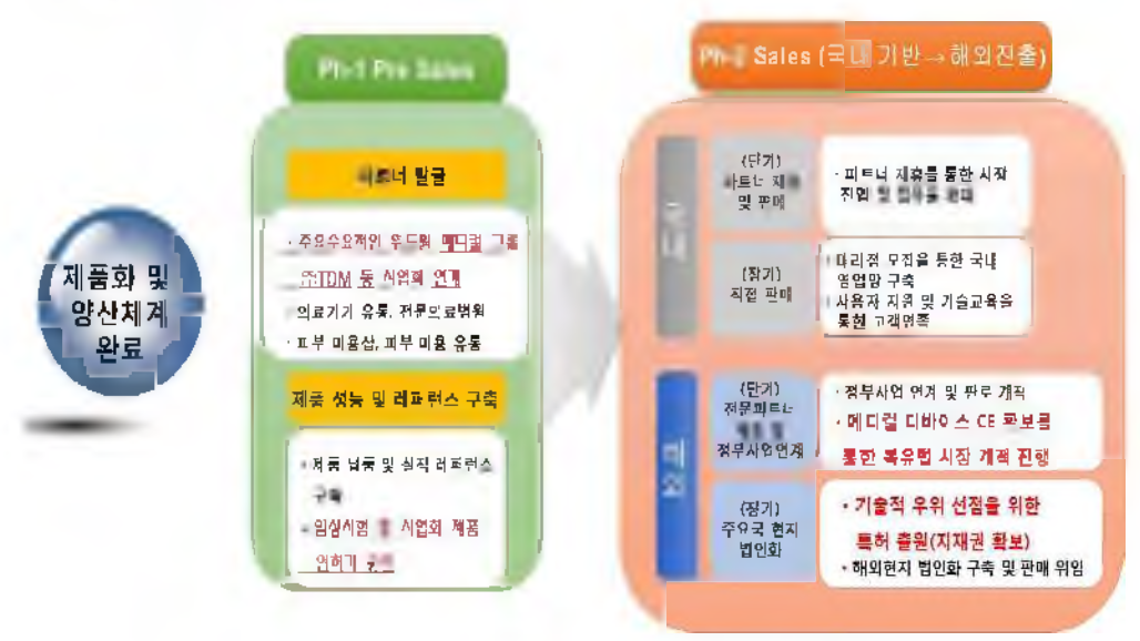 사업화 국내외 전략