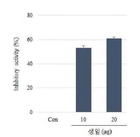 Thrombin assay of fresh extracts from Dendropanax morbiferus