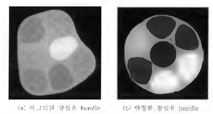 광섬유 꼬임, 장착 상태 등에 따른 광섬유 bundle 단면 형태