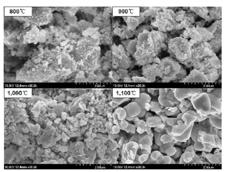 FE-SEM photographs of SrAl2O4:Eu2+ phosphor as a function of annealing temperature (x 20,000)