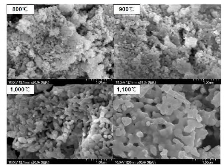 FE-SEM photographs of SrAl2O4：Eu2+ phosphor as a function of annealing temperature ( x 30,000)