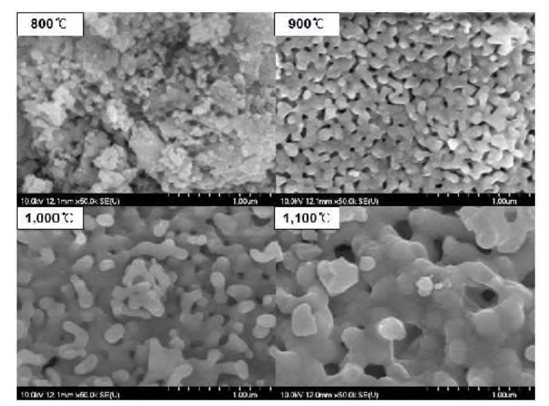 FE-SEM photographs of SrAl2O4：Eu2+ phosphor as a function of annealing temperature (x 50,000)