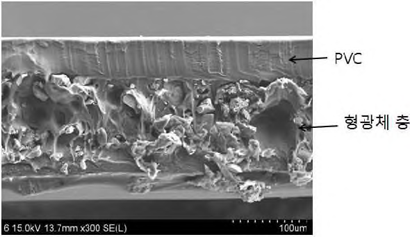 Cross-sectional images of SrAl2O4:Eu2+ film on PVC substrate