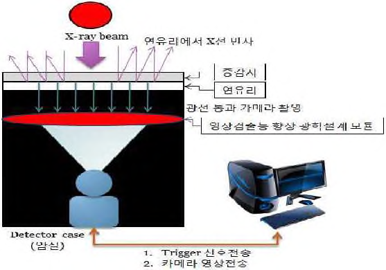 X-ray DR 디렉터 작 동 개 념 도