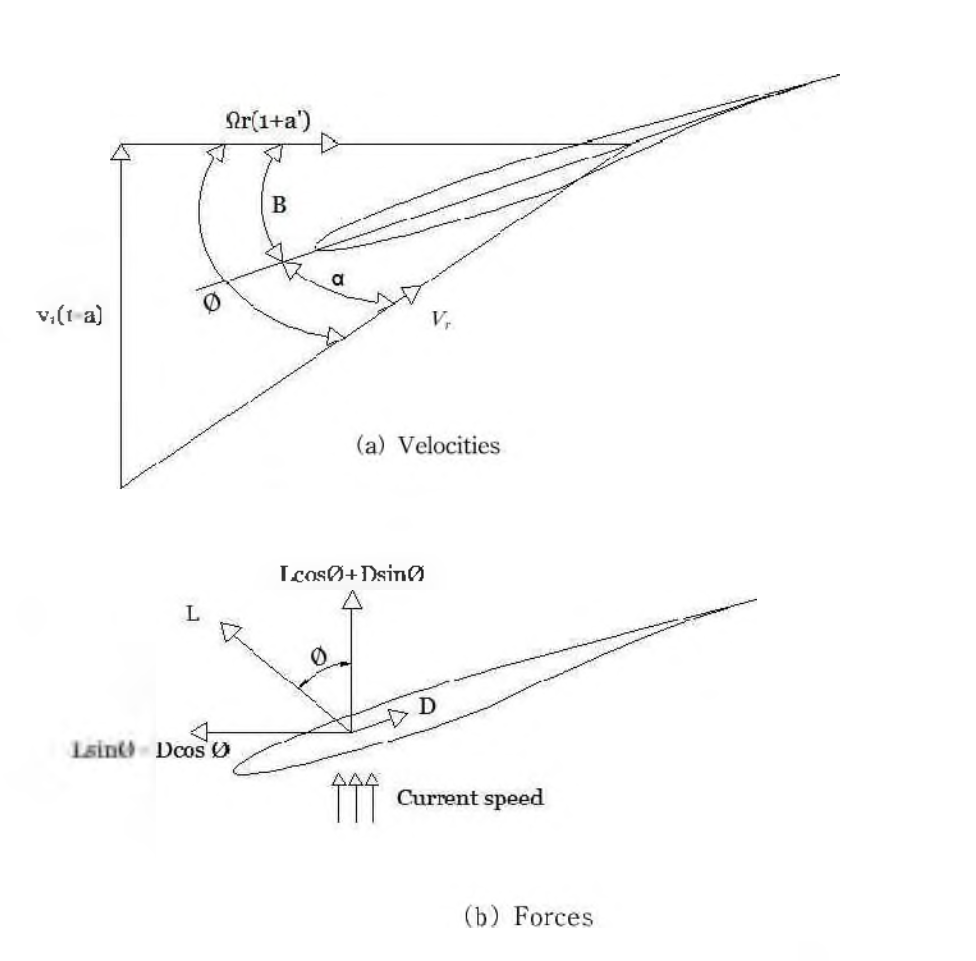 Blade element velocities and forces