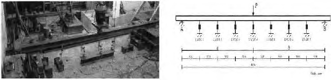 실험체의 전경 및 Schematic Diagram