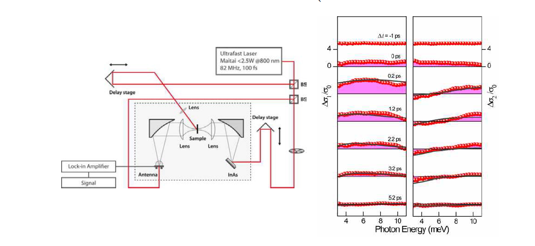 (왼쪽) Optical pump-THz probe 시스템 개략도 (오른쪽) 대표적인 2D 물질인 그래핀에 800 nm pump를 입사한 이후 시간에 따른 전기전도도 변화량.