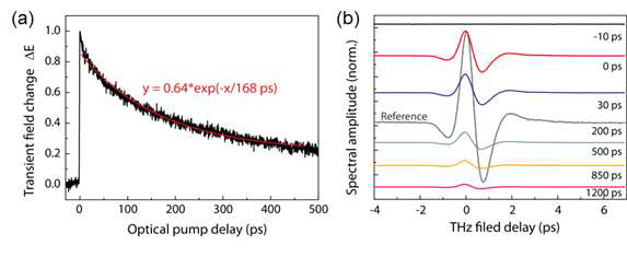 (a) LT-GaAs의 광여기에 의해 생성되는 THz peak 신호의 차이 (b) -10 ps, 0ps, 30 ps, 200 ps, 500 ps, 850 ps, 1200 ps 에서의 THz 신호의 차이