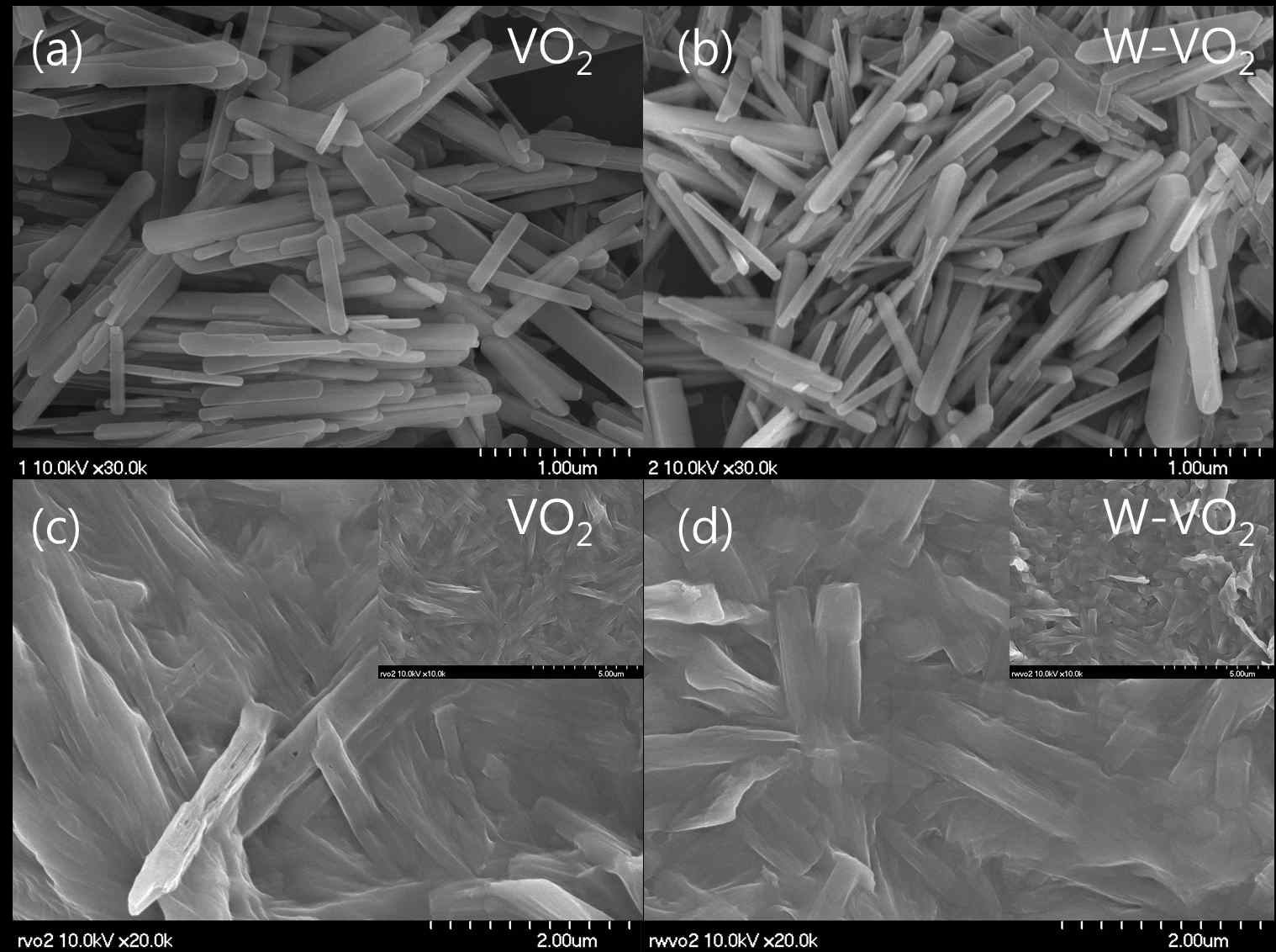 제작한 VO2 나노막대 샘플이미지 (a) VO2, (b) W 도핑된 W-VO2, (c) Al2O3 기판 위도포된 VO2, (d) Al2O3 기판 위 도포된 W-VO2.