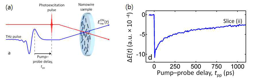 (a) 나노와이어의 특성 측정을 위한 Optical pump-THz probe 개략도 (b) GaAs/AlGaAs core–shell–cap 나노와이어의 광여기 시간에 따른 THz 신호의 시간축 변화 특성