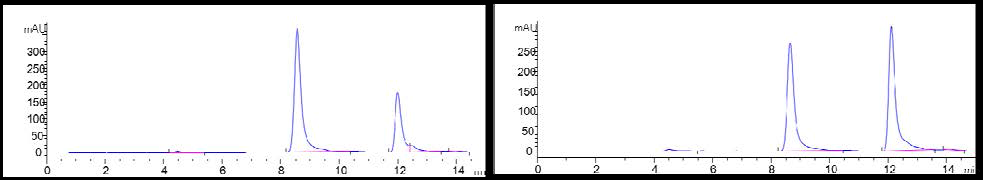 HPLC chromatogram wild type (좌)과 mutant L4C-M31C (우). (Retention time 8.5 min (GGGE), 12.5 min (MPGPV))