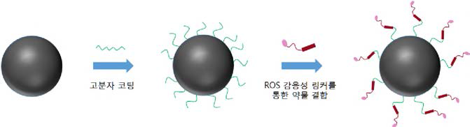 자기장 조사에 따른 ROS 생성 매개를 통한 약물 방출형 자성 나노입자의 작동 메카니즘