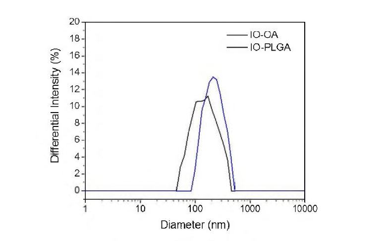 IO-PLGA 복합체 형성 전후의 DLS 분석 결과