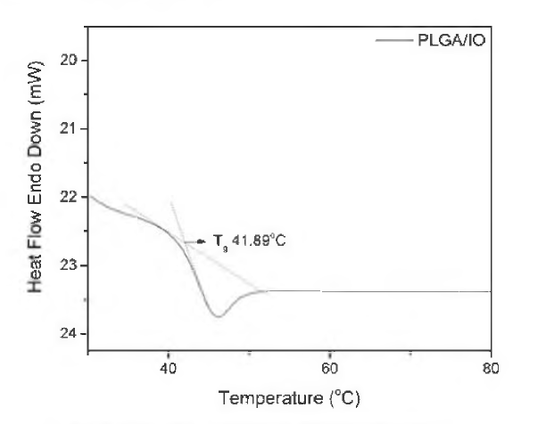 IO-PLGA 복합체의 열적 특성 분석