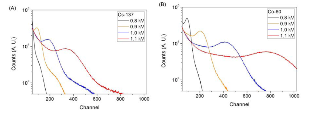 인가전압 변화에 따른 (A) 137Cs과 (B) 60Co 핵종의 채널 스펙트럼