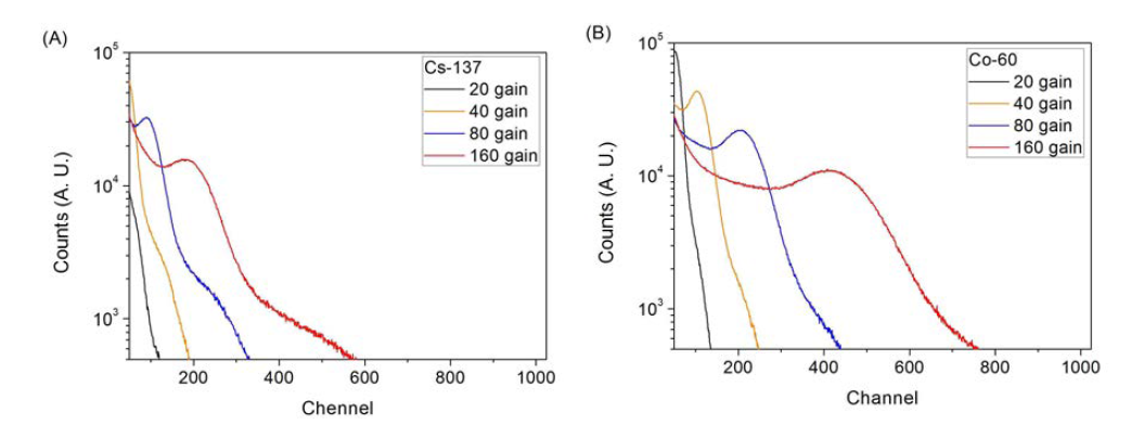 성형증폭기(shaping amplifier)의 gain 변화에 따른 (A) 137Cs과 (B) 60Co 핵종의 채널 스펙트럼