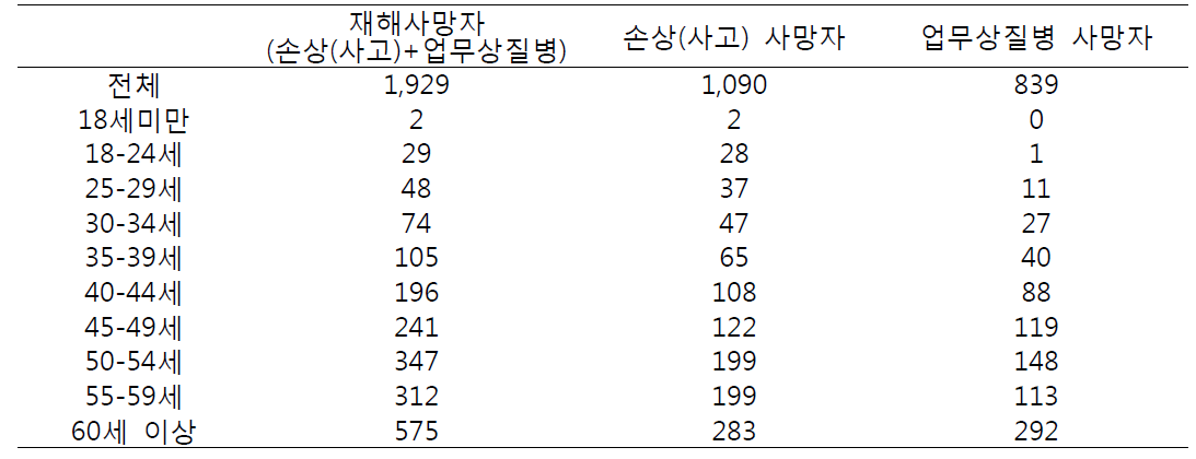 2013년 재해사망자 연령별 분포