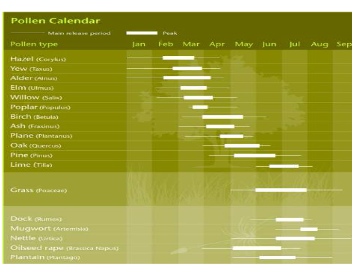 영국 식물별 꽃가루 캘린더
