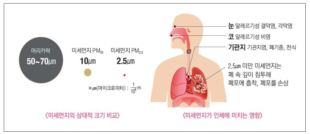 미세먼지에 대한 인체 영향